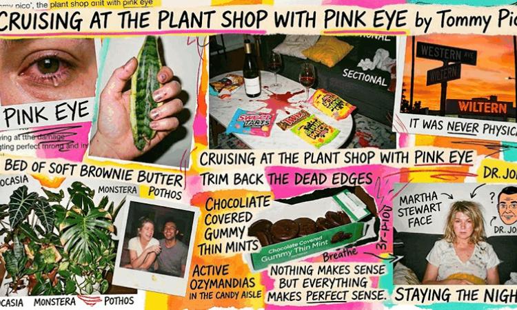 Cruising at the Plant Shop with Pink Eye