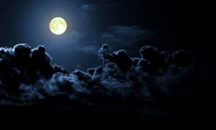 Do Not Go Gentle Into That Good Night