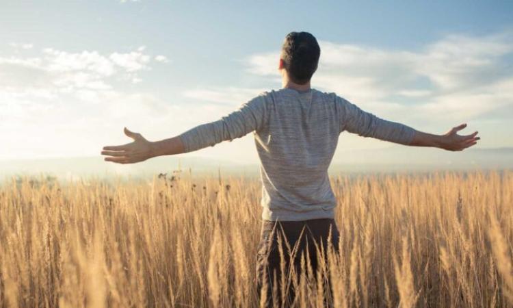 Hope is the thing with feathers