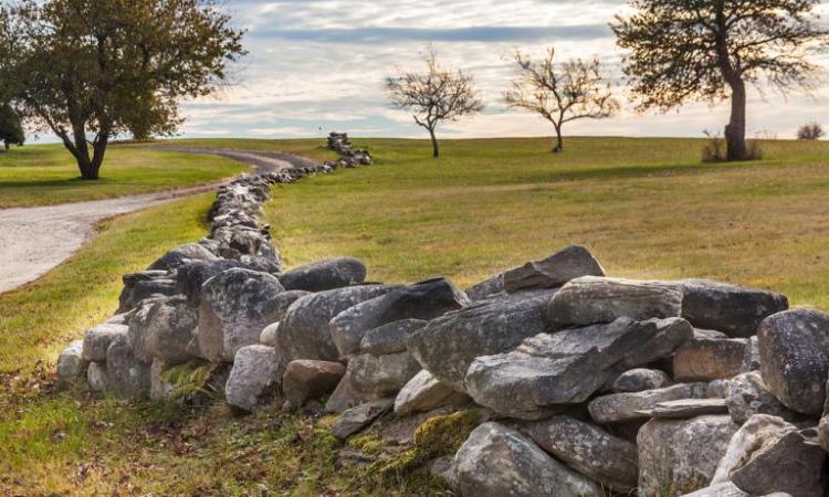 Mending Wall